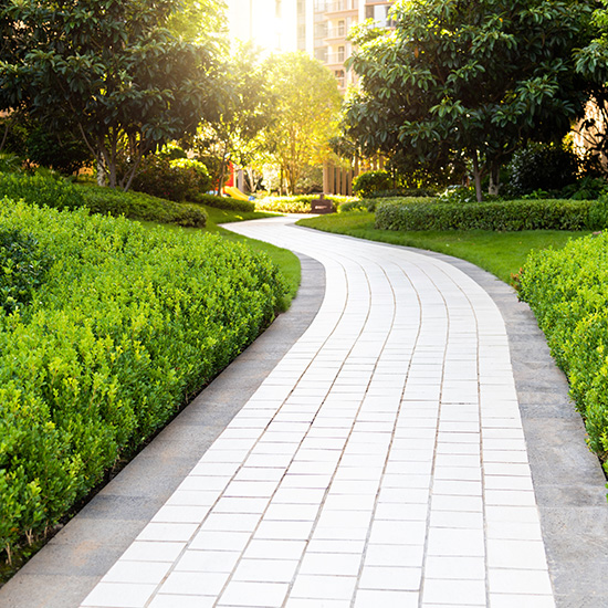 Green Pathway