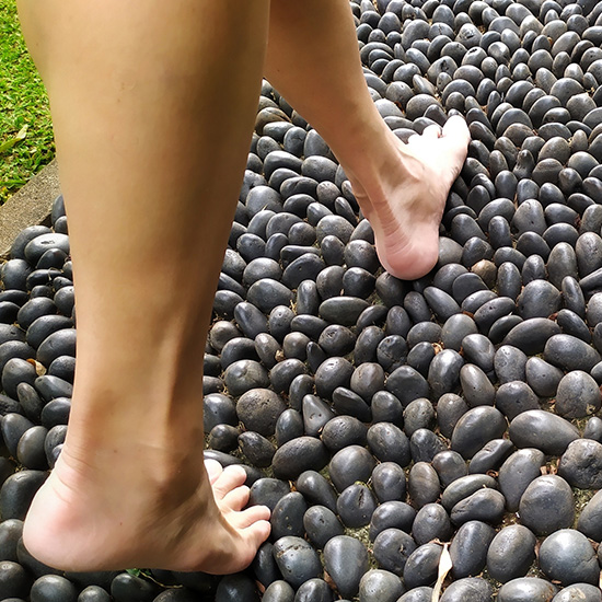 Reflexology Pathway